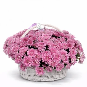 Корзина «Pink Cloud»