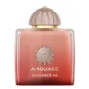 Amouage Guidance 46 Extrait de Parfum