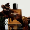 Burberry Hero Eau de Parfum